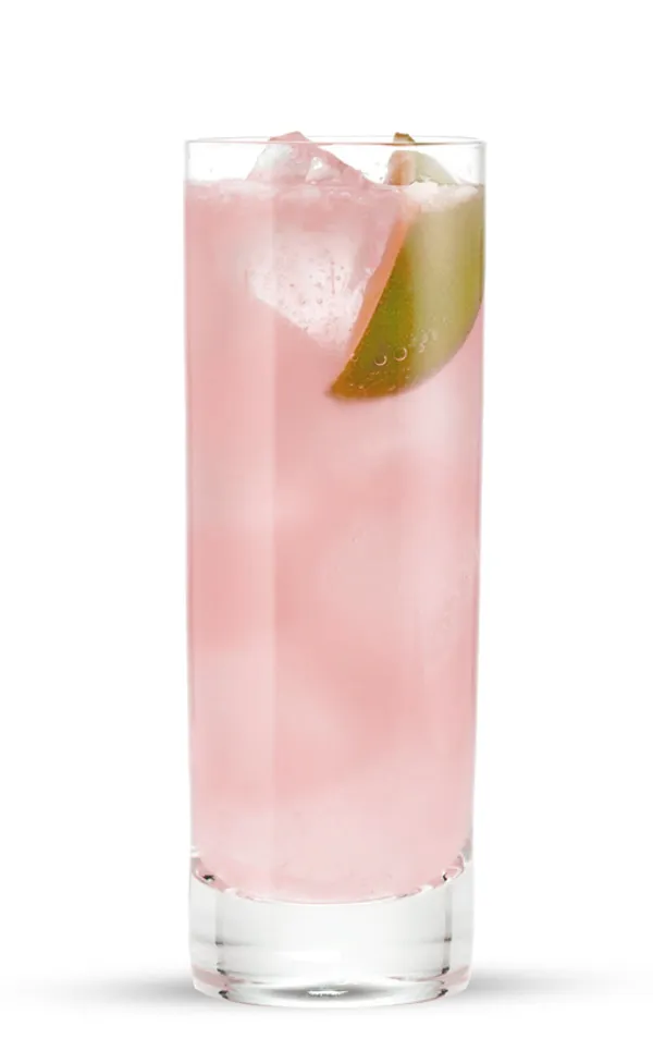 LA FRENCH PALOMA